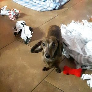 Meet your Posher, Mindy